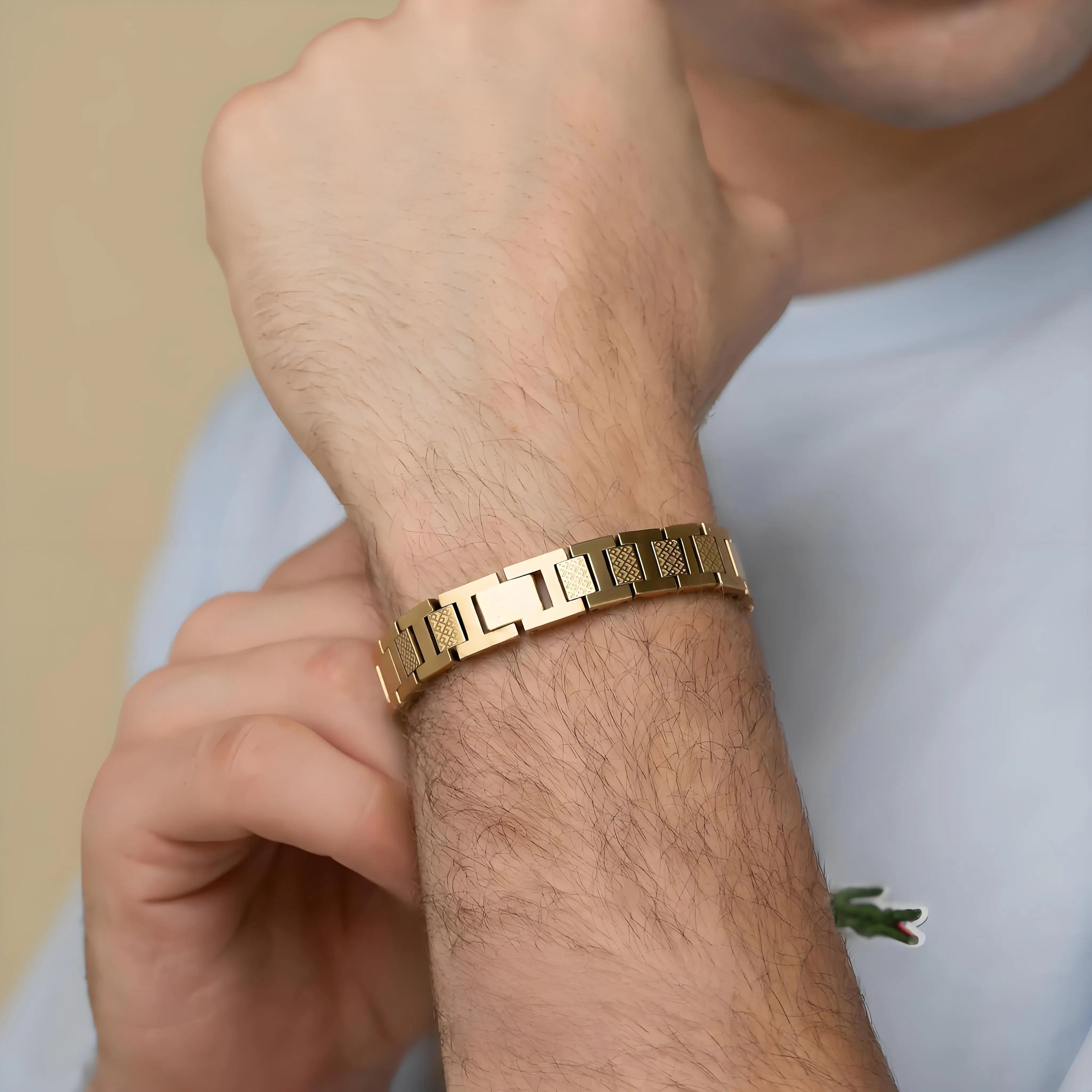 ARADOO Titanium Steel Men's Bracelet Crocodile-Pattern Link Chain Premium Business Jewelry Gift